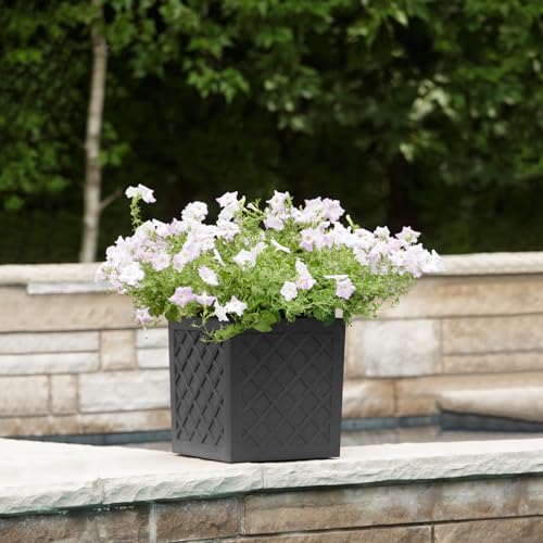 Tierra Verde 14" W x 14" H Citadel Lattice Cube Modern Planter in Black by Tierra Verde - Used condition - Image 3