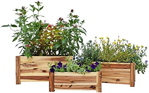 Acacia Wood Rectangle Planter Set of 3