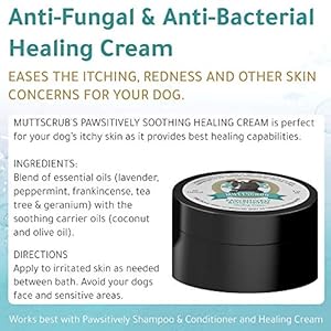 Pawsitively Soothing All Natural Healing Lotion for Dogs – Stops Itching, Redness, and Irritation