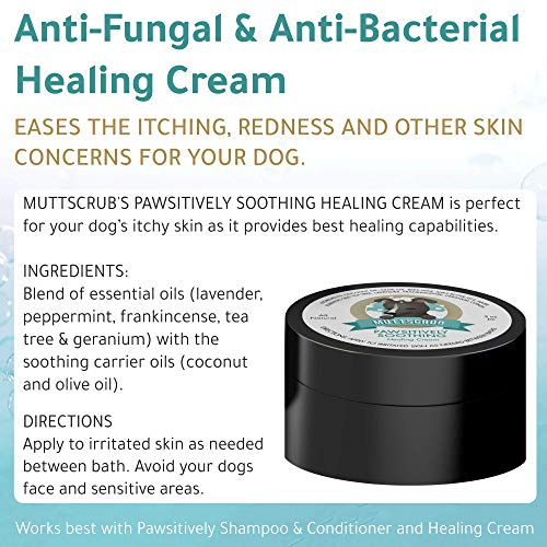 Pawsitively Soothing All Natural Healing Lotion for Dogs – Stops Itching, Redness, and Irritation Pawsitively Soothing All Natural Healing Lotion for Dogs – Stops Itching, Redness, and Irritation