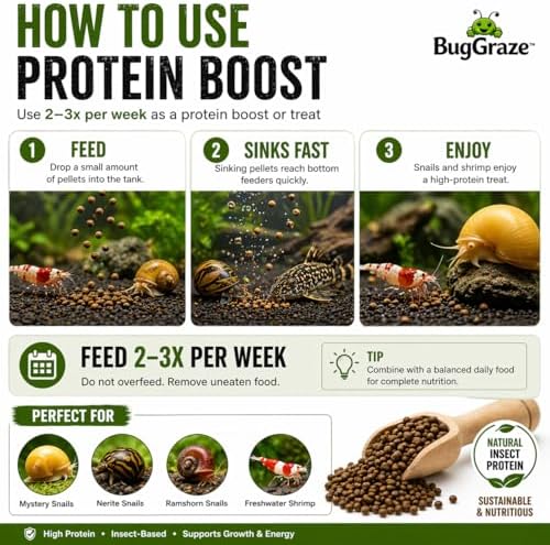 BugGraze BSFL Pellets for Snails & Shrimp – High Protein Supplement Food – Sinking Insect-Based Pellets for Growth & Energy – Aquarium Treat for Mystery, Nerite & Shrimp – 3 oz - 2