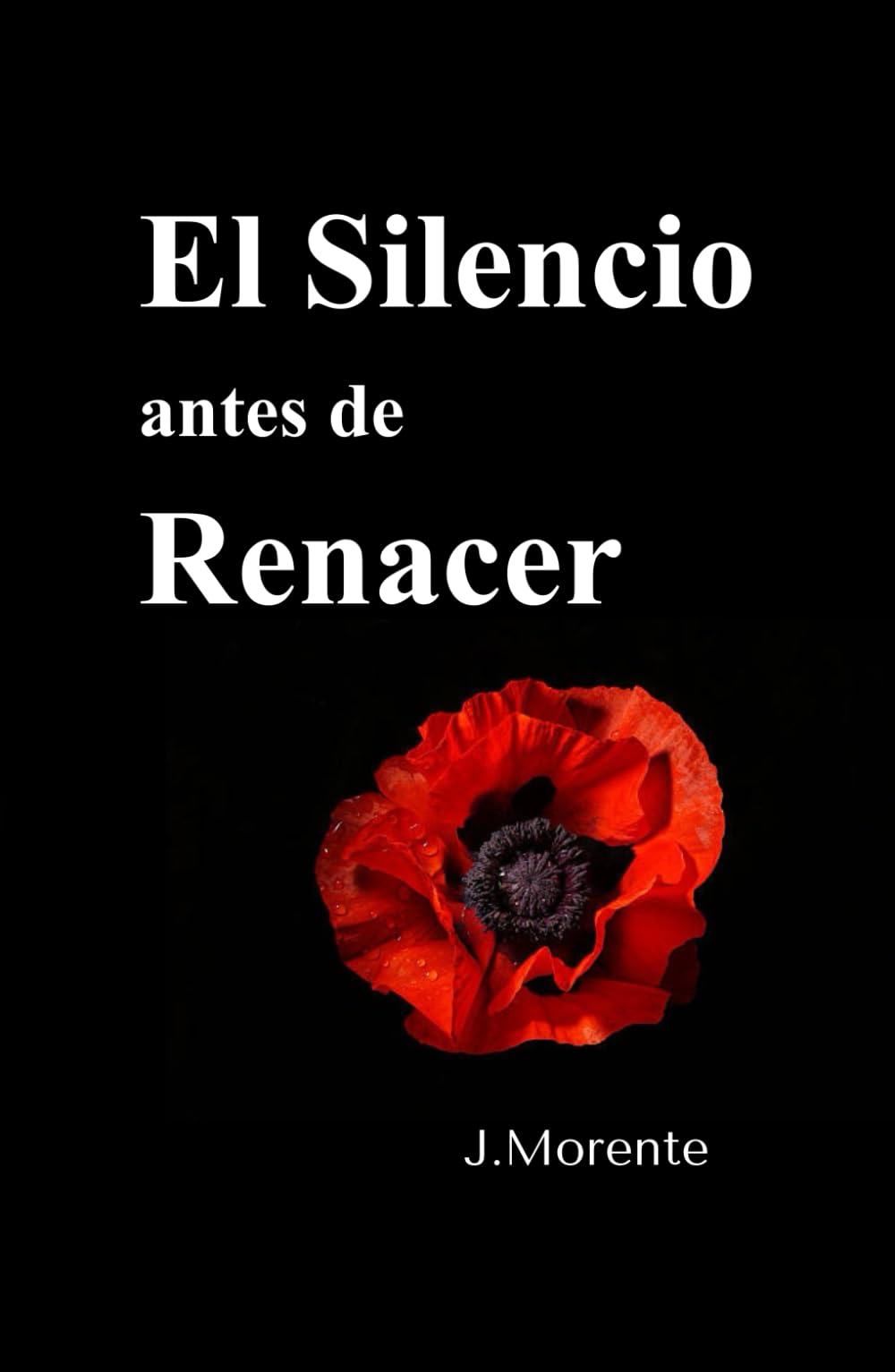 El Silencio antes de Renacer: Cuando el alma empieza a hablar