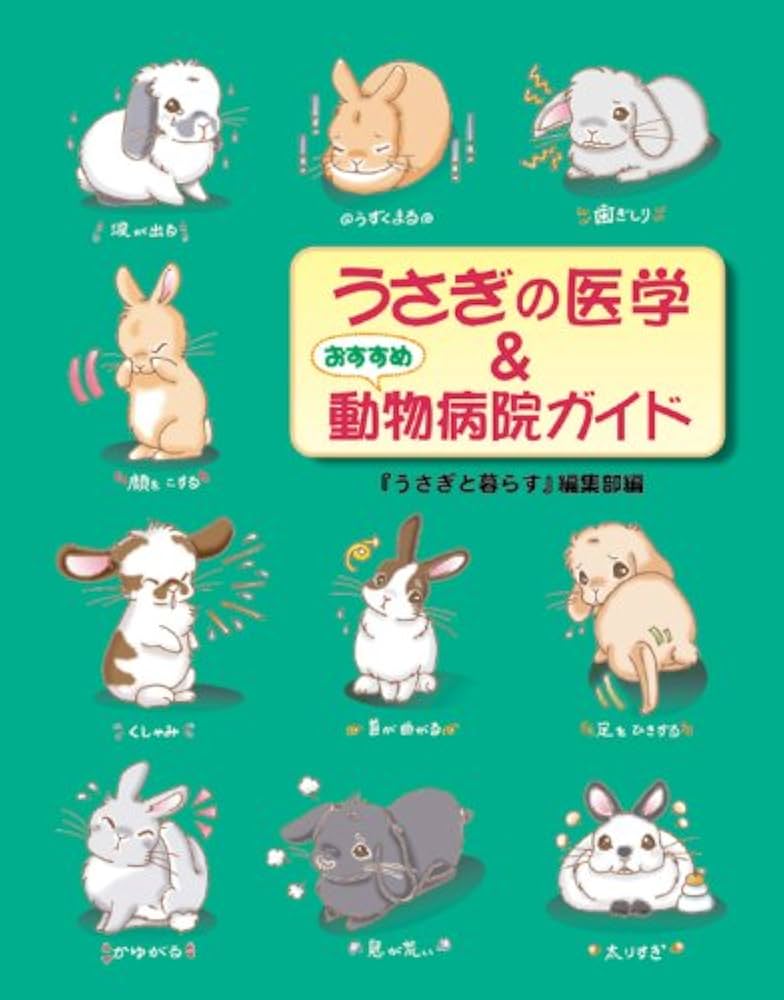 うさぎの医学&おすすめ動物病院ガイド | 「うさぎと暮らす」編集