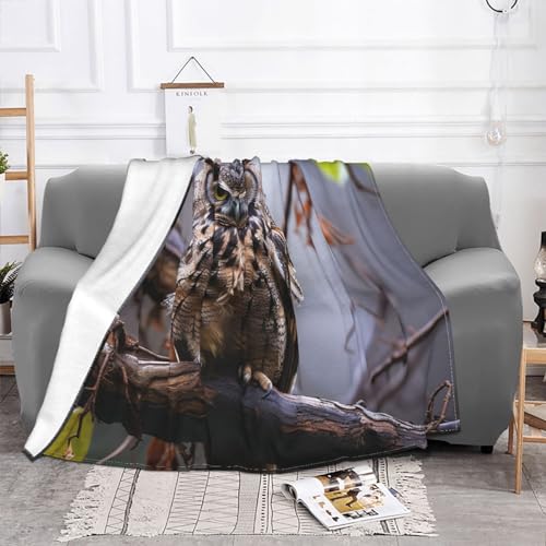 Couverture réversible légère contre les nuits fraîches pour lit et fauteuil - 3