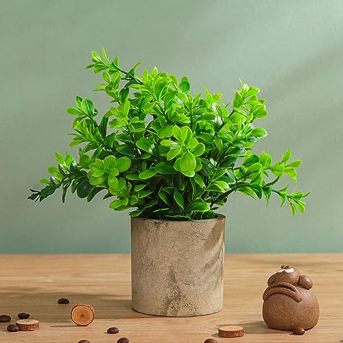 tFCNO[ [J lHϗtA  A ~  ~j CeA   sv bsv p Vzj ̓ ̓ Ղ 蕨 ItBX z[ fR[V