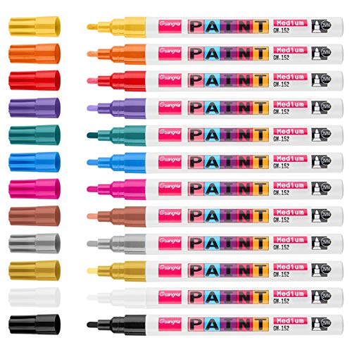 Permanent Paint Markers on Almost Anything Never Fade 12 Colors ...