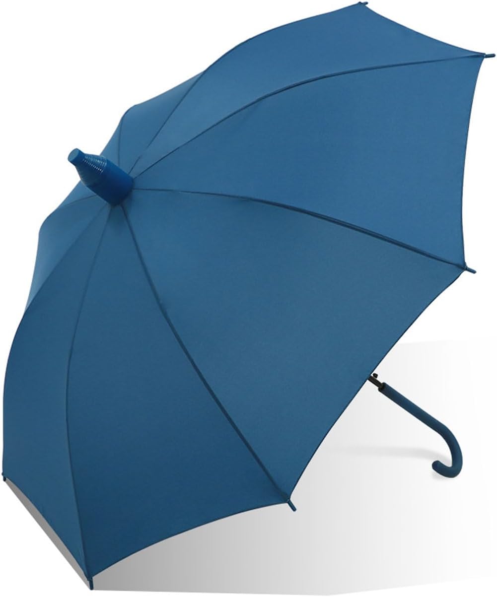 東京ディズニーシー ビリーヴ Believe 折りたたみ傘 晴雨兼用 日傘