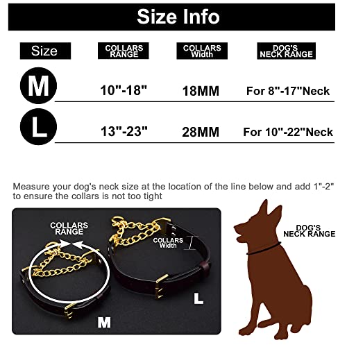Leather Collar Martingale Collar Stainless Steel Chain With Secure Buckle Chain Collar For Small Medium Large Dogs(Gold Chain, M) #TOP5