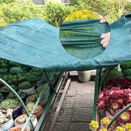 Evita plantas quemadas usando esta tela de sombra verde para tu jardín 4