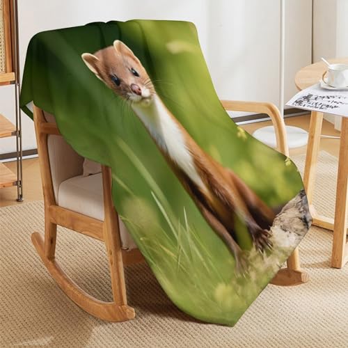 Manta de forro polar de visón 130x150 cm suave para sofá y cama 5