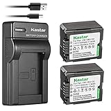 Kastar 2 Battery & Slim USB Charger Replacement for Panasonic VW-VBG070, VW-VBG130, VWVBG260 and SDR-H40, SDR-H80 Series, HDC-HS700, TM700, HS300, TM300, HS250, SD20, HS20, HDC-SDT750 Camcorders etc.