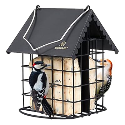 Kingsyard Double Suet Bird Feeder with Weatherproof Roof & Perch, All Metal, Suet Cakes Cage Bird Feeder for Outdoors Hanging, Easy to Clean & Refill, Black