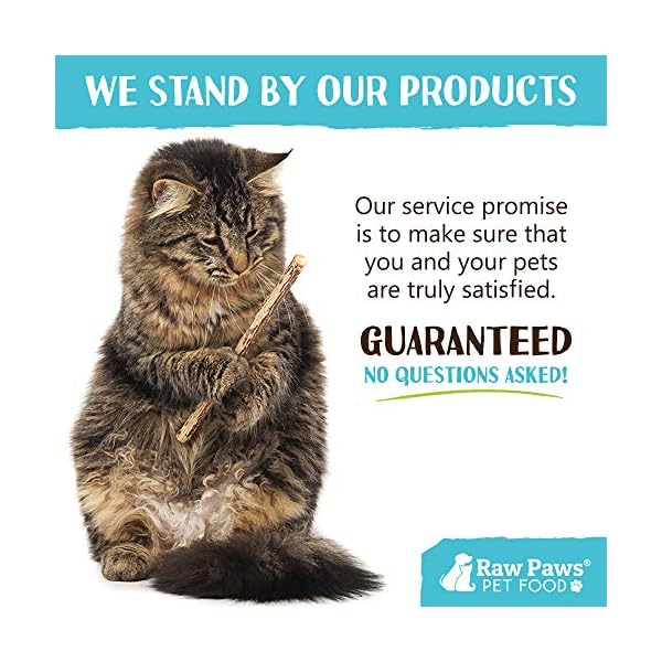 Raw paws silvervine for cats (30-ct) - silvervine cat toys for indoor cats - catnip sticks - matatabi cat chew stick - silvervine sticks for cats, silver vine sticks cat kicker toy, cat toy silvervine - image 8