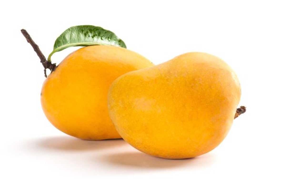 Mango Priyoor India, 500g
