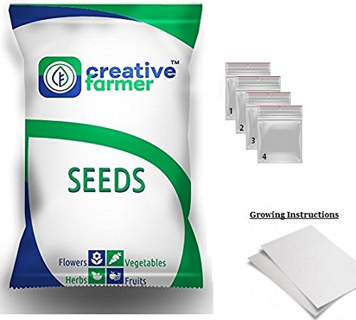 Creative Farmer Flower Seeds : Verbena Mix Perennial Herbaceous Flowering Plants Blue Flower Seed For Shade B- Birds Attracting Flower Seeds (4 Packets) Garden Plant Seeds - Image 4