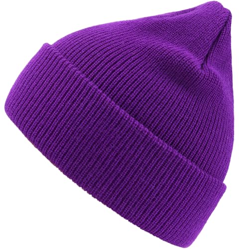 Beanie for Women Men Unisex Beanies Winter Thick Knit Soft Warm Hat Cosplay Halloween Party Costume (US, Alpha, One Size, Purple)