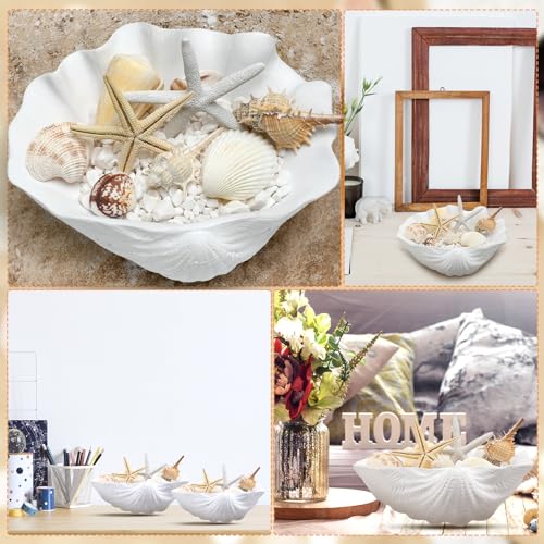 Maxcheck 2 Pcs Large White Seashells Oyster Decorative Bowl Resin Clamshell Nautical Clamshell Bowl Coastal Nautical Themed Party Home Bathroom Beach Gift-10.2-1pc,8.6-1pc