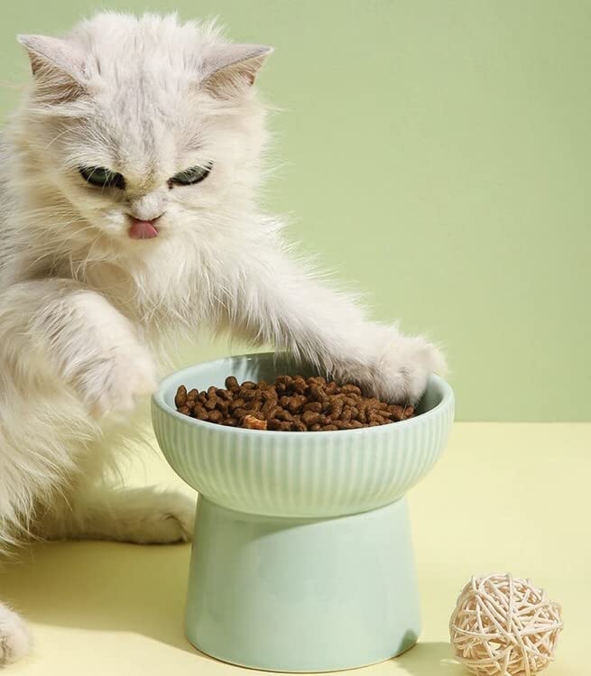 Image of PETANGEL 2 Set Ceramic Cat Food Or Water Bowl, Elevated Cat Feeder Dishes with Stand, Raised Pet Food Bowl for Cats and Small Dogs, Stress Free Backflow Prevention & Anti Vomiting