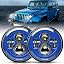 Blue（2 pack）