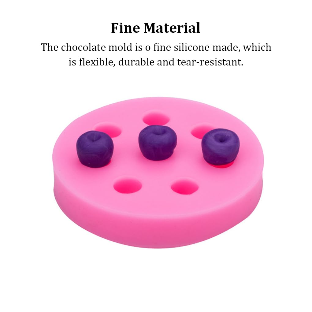 Juego de 10 moldes de silicona para chocolate, portátiles, de repuesto, con forma de fruta, para pasteles, galletas, pastelería, hogar, panadería, frambuesa
