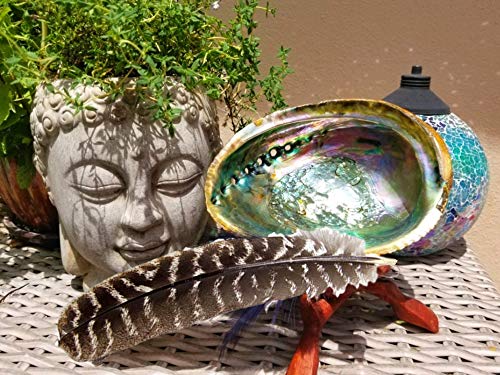 Smudge Kit Spiritual Set, Large Abalone Shell, Complete Sage Smudge Stick Kit, Palo Santo, White Sage Incense For Cleansing, Smudge Feather,Chakra Kit Bracelet, Charitable Positive Vibes Smudging Kit #TOP5