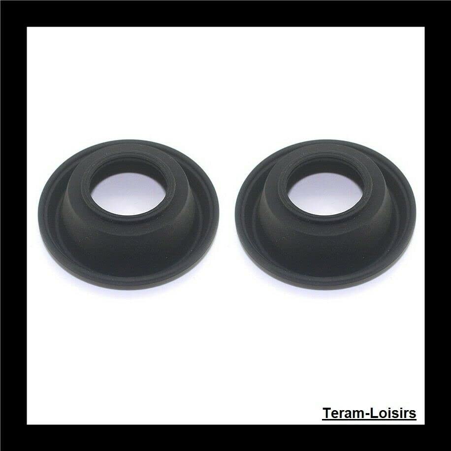 TERAM LOISIRS Kit de carburador, membrana y boquilla compatible con Yamaha XTZ750 de 1989 a 1997