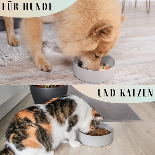 ne&no® Silikon Fressnapf 1200 ml für kleine und mittelgroße Hunde | Futternapf Hund rutschfest | Hunde Trinknapf | Hundenapf