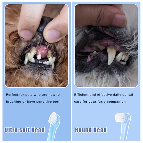 Image of oruola 8Pcs Kitten Toothbrush,2 Styles Soft Hair Small Dog Toothbrush,Dental Hygiene Pet Toothbrush to Clean Pet Teeth,Reduce Tartar Formation & Bad Breath for Small to Large Dogs,Cats,and Most Pets