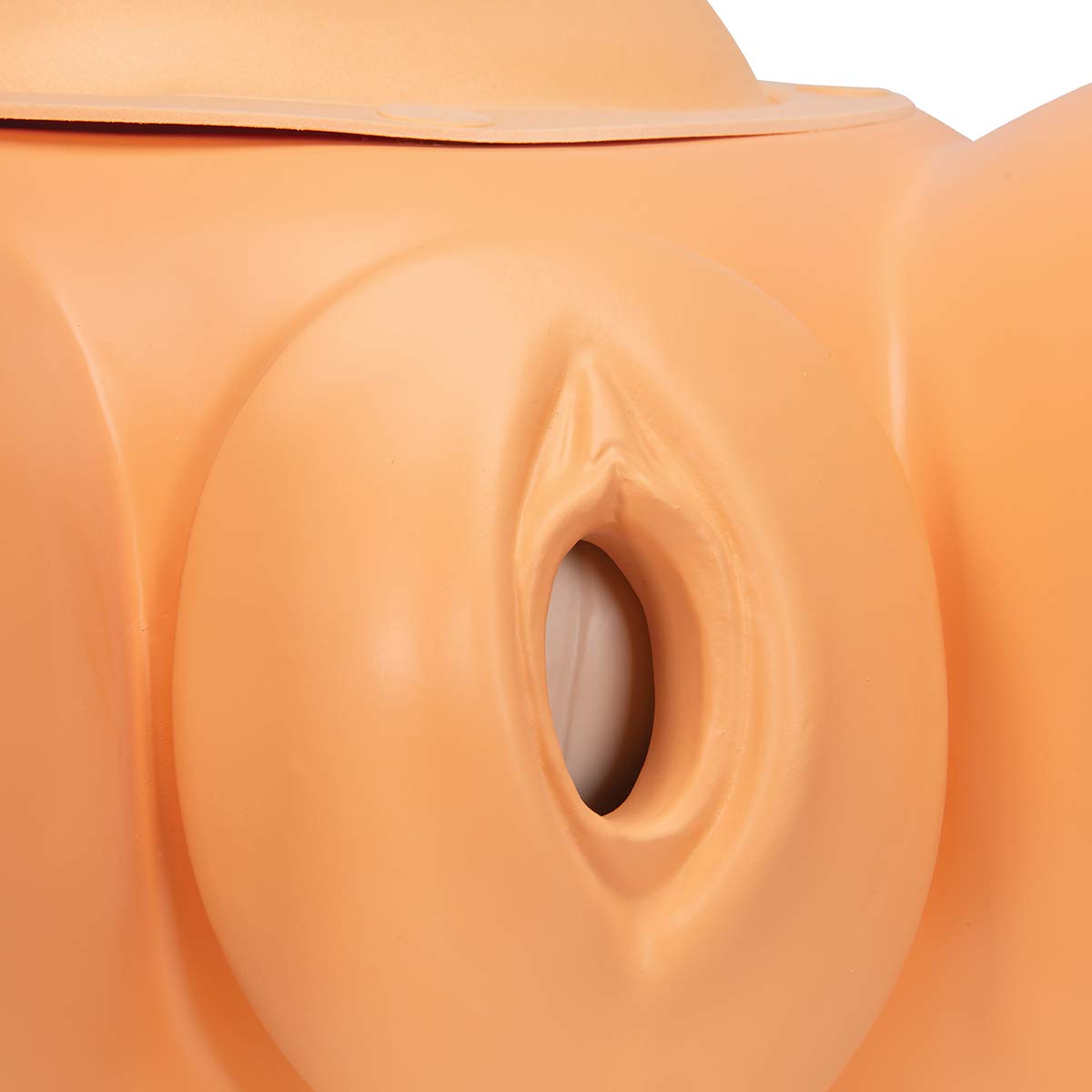 Et nærbillede view of the removable vulva component of the childbirth simulator, showing its realistic anatomical detail.