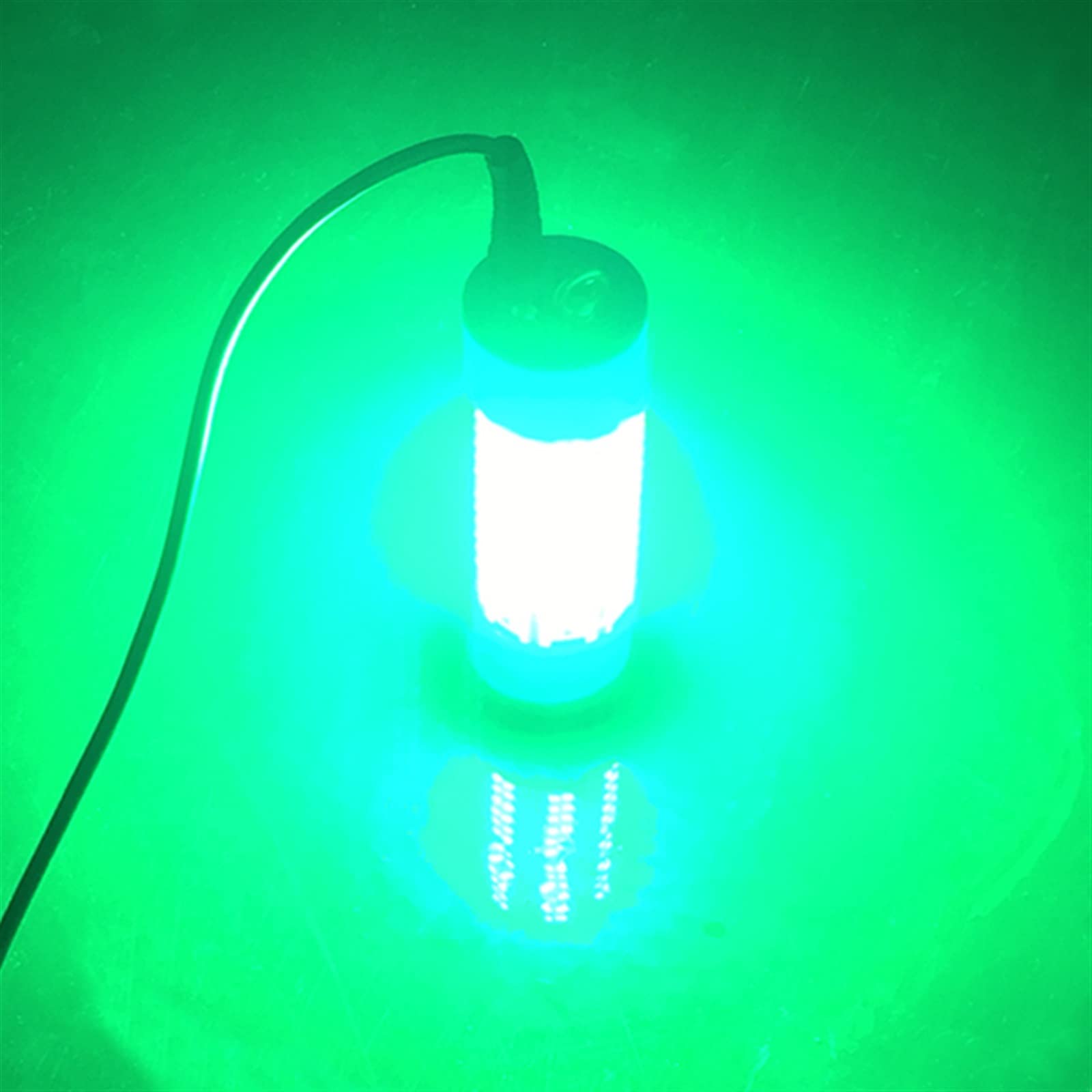 Eclairage Piscine Lumière de pêche sous-Marine 80W/100W Bateau de pêche 12V IP68 Lampe de pêche Submersible à Chute Profonde LED lumière de pêche sous-Marine Lampe LED Submersible (Color : Green, Si