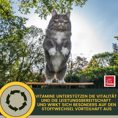 EMMA Katzen Vitamine Multivitamin 100 ml | Vitamin B Komplex mit B12 B6 B1 A D3 E | Mineralien Folsäure Eisen Zink Selen & L-Lysin | Immunsystem stärken, Fell & Stoffwechsel Katze