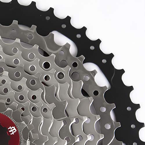 Ztz 8/9/10 Speed Cassette Mtb Cassette 11-42T 8 Speed Fit For Mountain Bike, Road Bicycle, Mtb, Bmx, Sram Shimano Sunrace (8 Speed 11-42T) #TOP3