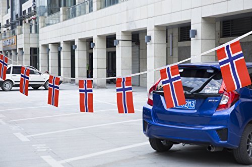 TSMD Norway Flag, 100 Feet Norwegian Nordmann Flag National Country World Pennant Flags Banner,International Party Decorations for Grand Opening,Olympics,Bar,School Sports Events,Festival Celebration - Thumbnail 2