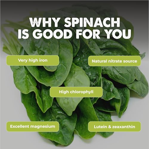 Image of Spinach 1250+ Vegetable Seeds for Home Garden