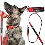 esraa ezat 🏋️ IDÉAL GRANDES RACES – Conçu pour Bergers Allemands, Malinois, Labradors, Rottweilers, Pitbulls, Boxers et autres chiens énergiques.