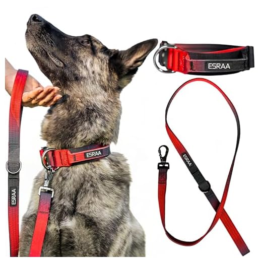 ESRAA - Ensemble Collier K9 Tactique 38mm + Laisse 150cm pour Chien - Nylon Militaire avec Poignée de Contrôle, Boucle Rapide & Mousqueton Sécurisé - Taille M