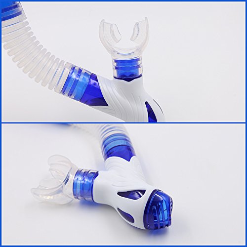 Whale Scuba Dry Diving Snorkel #TOP5