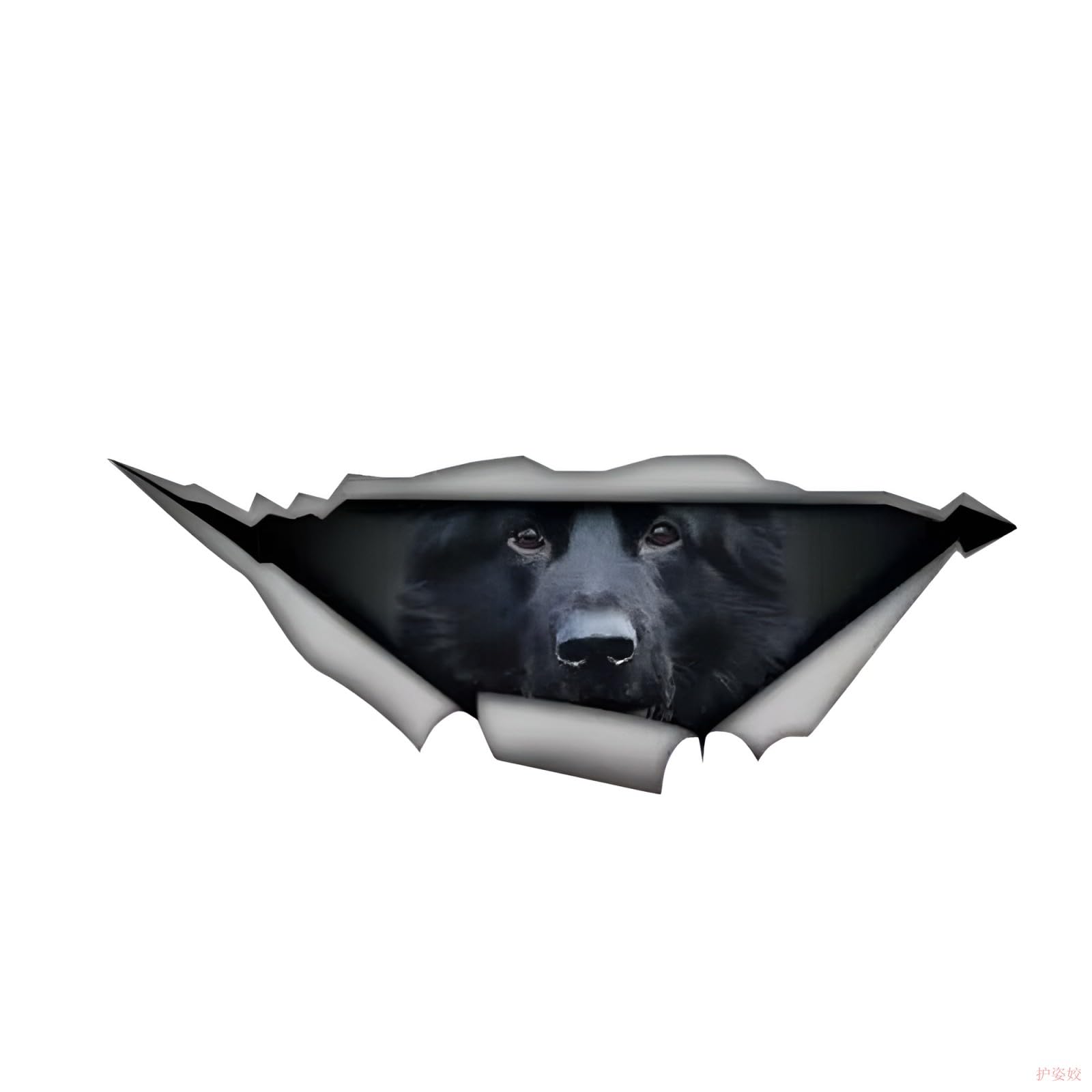 Französische Bulldogge Aufkleber, 3D Zerrissener Effekt, Was
