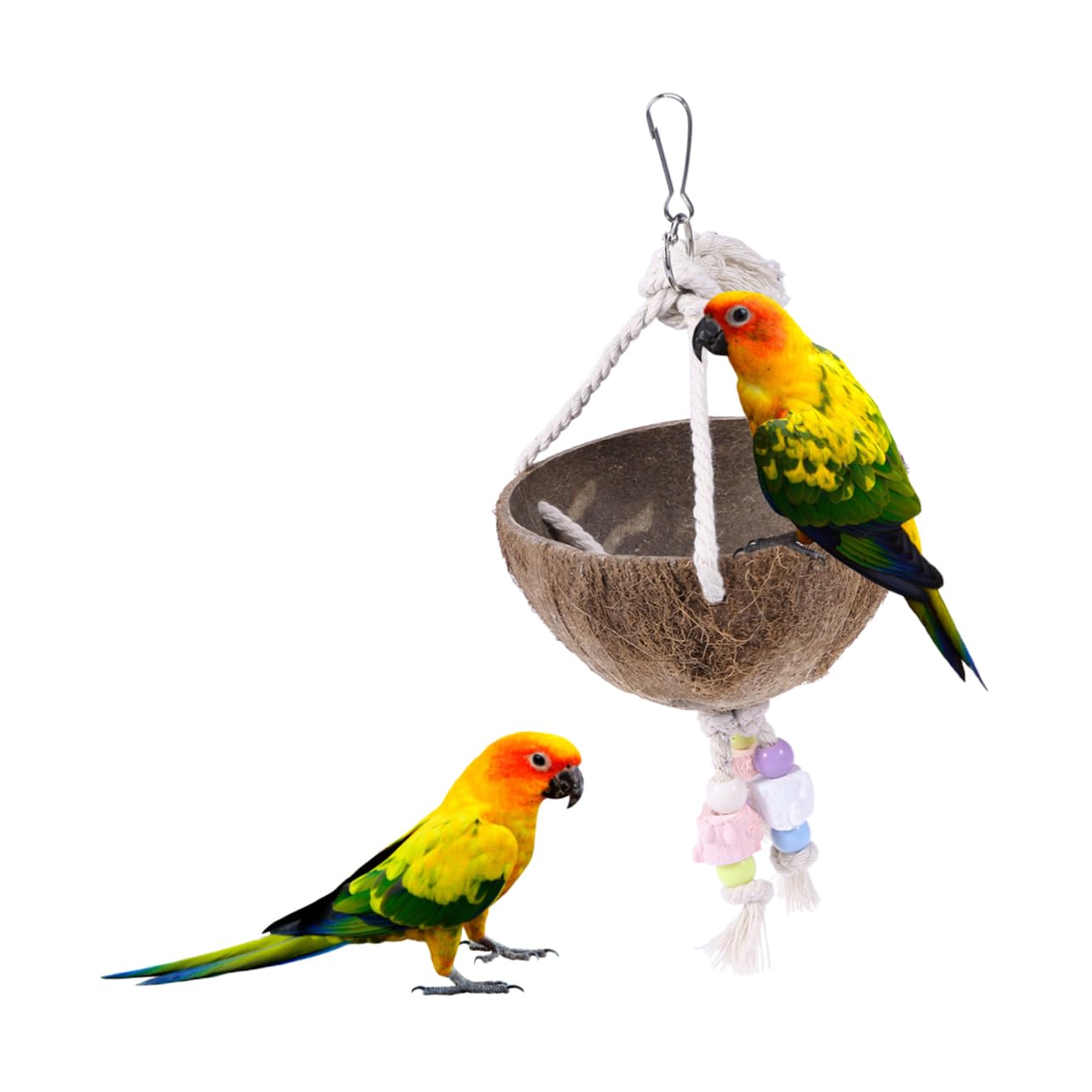BESPORTBLE 3 Pièces balançoire Perroquet Porte-os de seiche la balançoire Jouer Petit Jouets balançoires nid de Perroquet Jouet en Bois Longue Fournitures pour Oiseaux Bambou