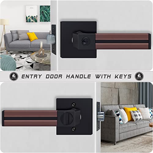 Hade Lion Entry Matte Black Door Handle With Keys, Brown Leather Front/Interior Door Knobs, Bedroom Door Lever Lock 1 Pack #TOP2