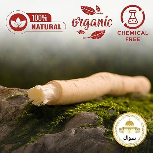 SEWAK Miswak Sticks for Teeth Natural Toothbrush | مسواك | Siwak Organic Wooden Tooth Brush Oral Teeth Whitener | Vacuum Sealed (Pack of 10)