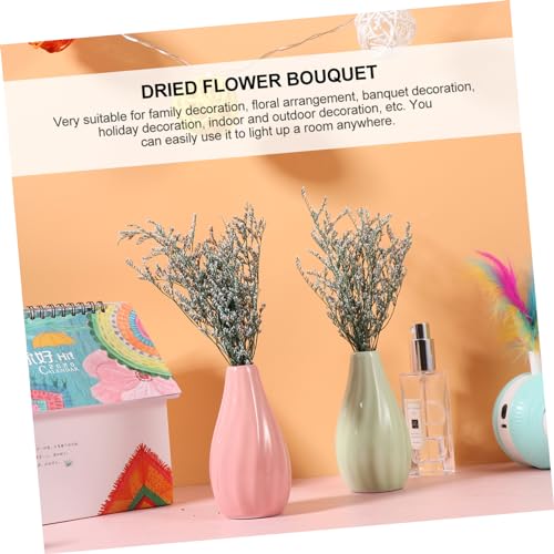 Ramo de Flores Secas Natural Gypsophila Set de 3 miniatura 5