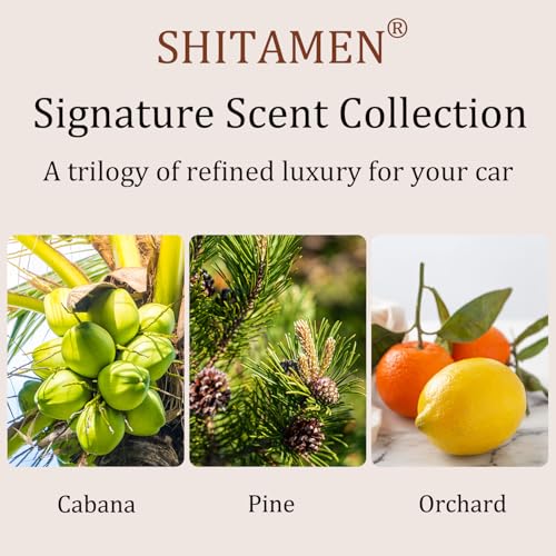 Image of Car Air Freshener, Stone Air Freshener, Automotive Odor Eliminator for Visor Clip- Car Fresheners Long Lasting - Variety 3 Pack - CLIP INCLUDED (Cabana-Pine-Orchard)