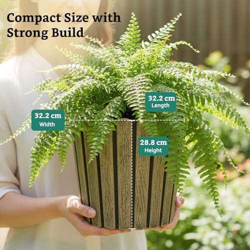 Image of Amazon Brand- Solimo Indoor and Outdoor Round 12 Inch Thai Flower Planter Pot Best for Terrace /Balcony /Home /Office Decor - Set of 2
