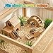 Lucasynplex 3-in-1 Hamster Cage Wooden Activity Center- Multi-Level Porous House with Ramp,Activity Seesaw,Arched Climbing Tunnel,Small Animal Habitat Accessories for Hamsters,Gerbils,Mice