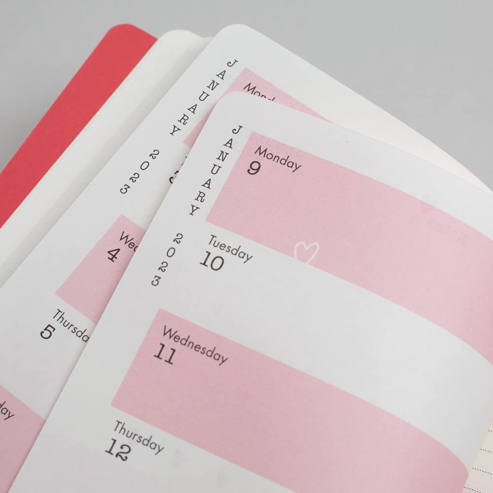 Matilda Moo 2025 Diary - A5 Week To View - Softback - Elastic Closure - View #2