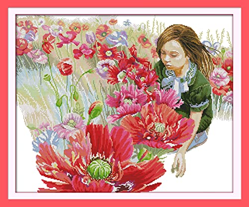 Broderie Point de Croix 11CT Toile Imprimée Loisir Créatif Adulte