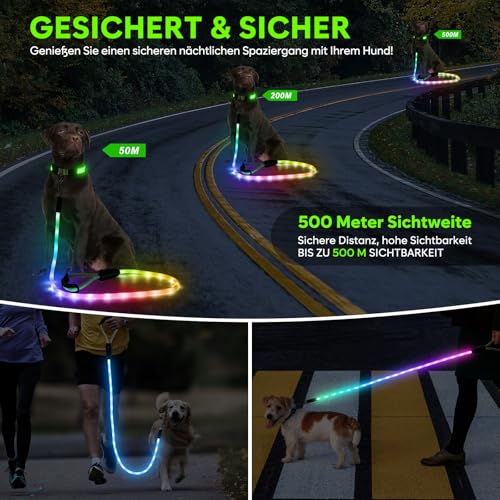 Sugiifamy LED Hundeleine, Wiederaufladbar Hundeleine für große, mittelgroße und kleine Hunde, 13 Beleuchtungsmodi mit Silikongriff, Sicherheit beim nächtlichen Spazierengehen (1.2M)