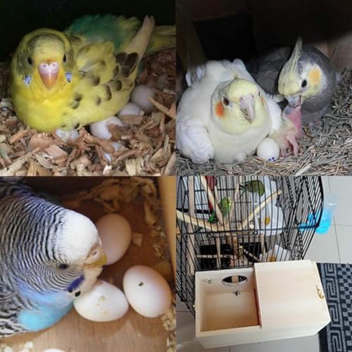 Yjjkj Pet Wood Parakeet Nest Box Bird House Breeding Nesting Bird Cage Box For Lovebirds Cockatiel Parrotlets thumb #7