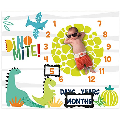Image of Dinosaur Baby Stuff Month Milestone Blanket for Newborn Photo Taken - Baby Age Blanket